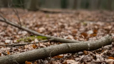 Сгенерировано ИИ