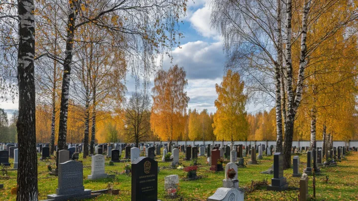 Сгенерировано ИИ